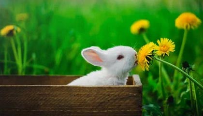 广州品茶空间推荐