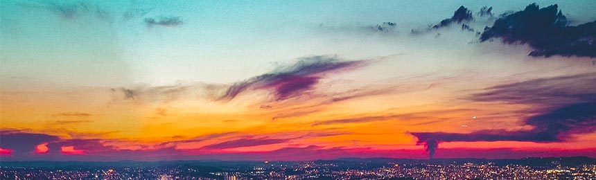 高安茶虫网_高安品茶